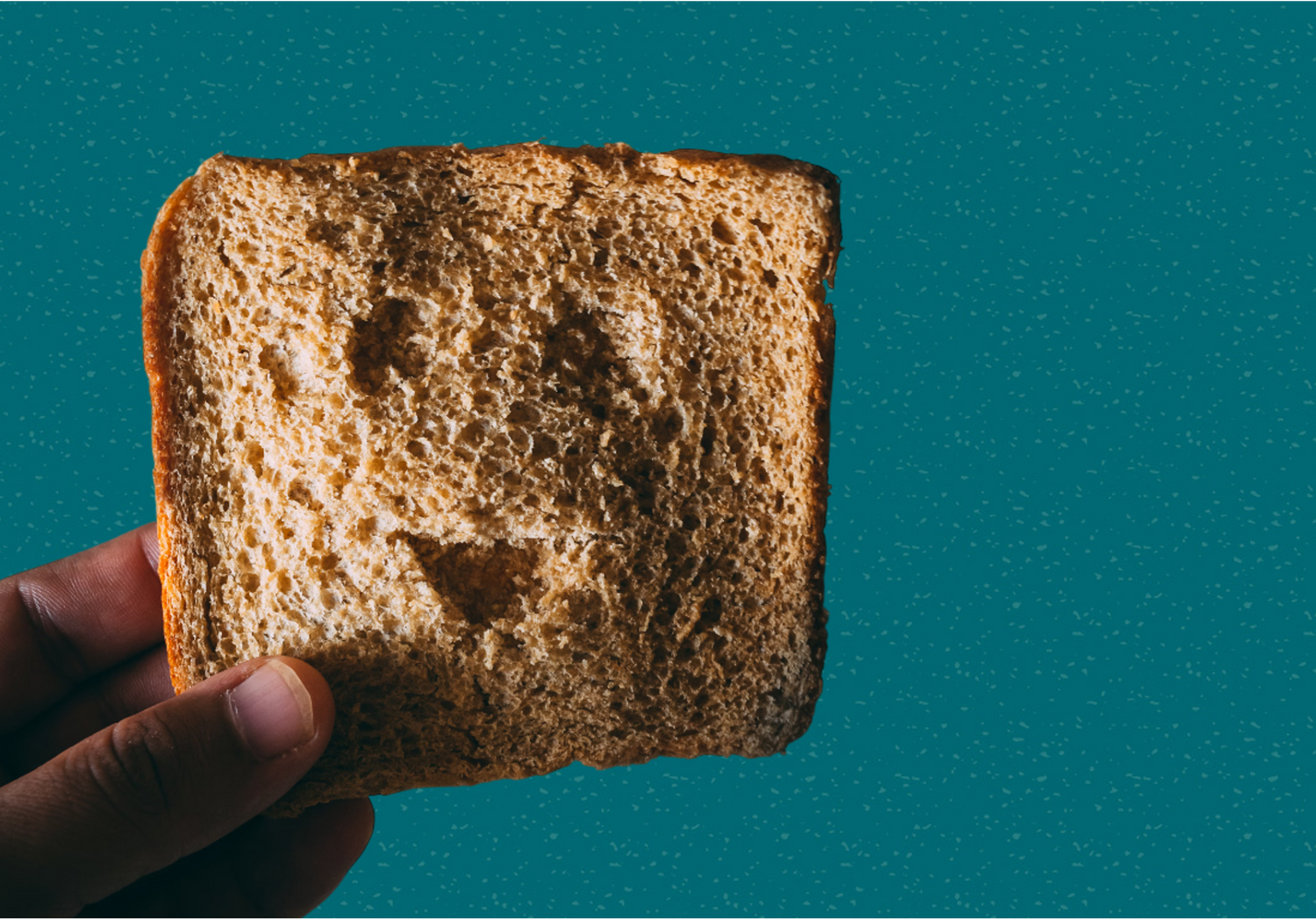 The solution to food waste starts with bread
