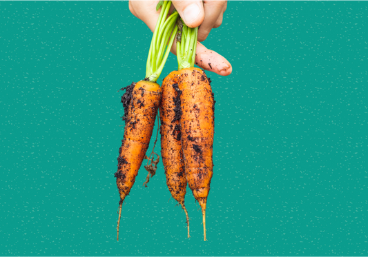 5 microadventures to discover sustainable food pioneers