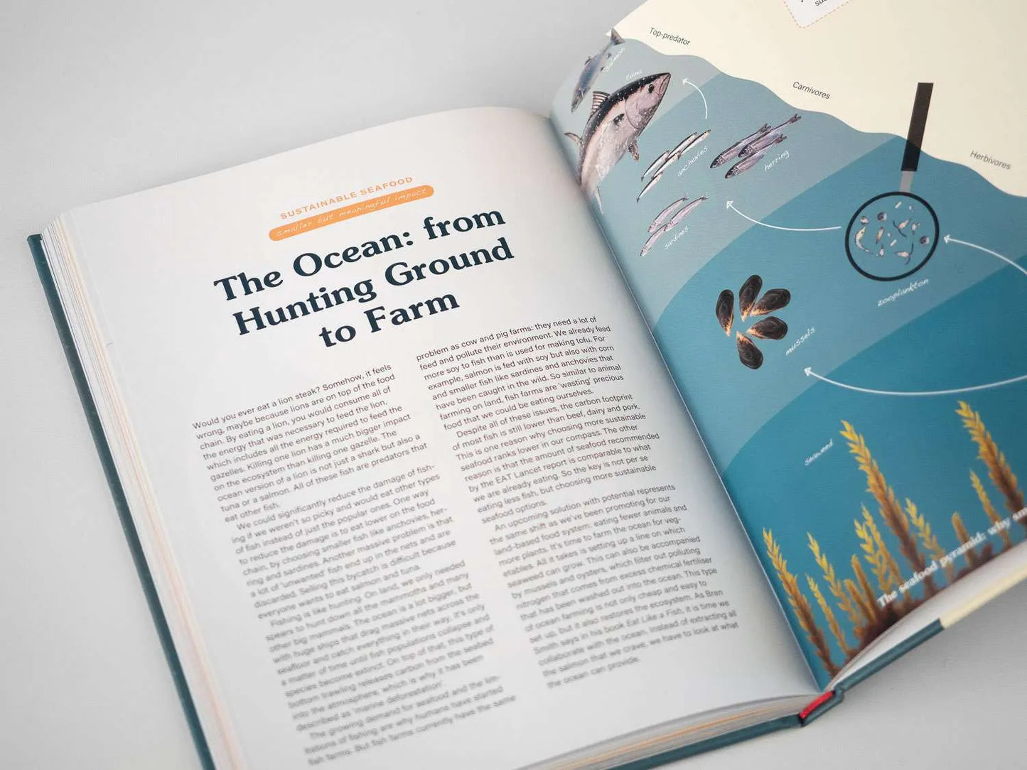 Fork Ranger: Solving climate change with Food